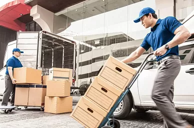 Дистрибуция